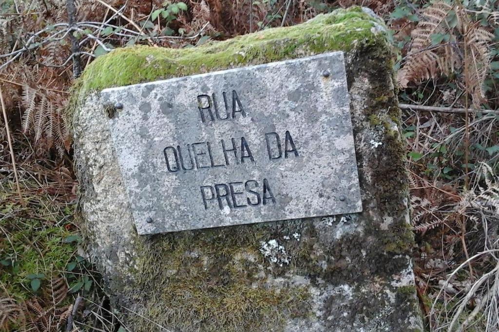 Casa Quelha Da Presa Villa Espinho  Exterior foto