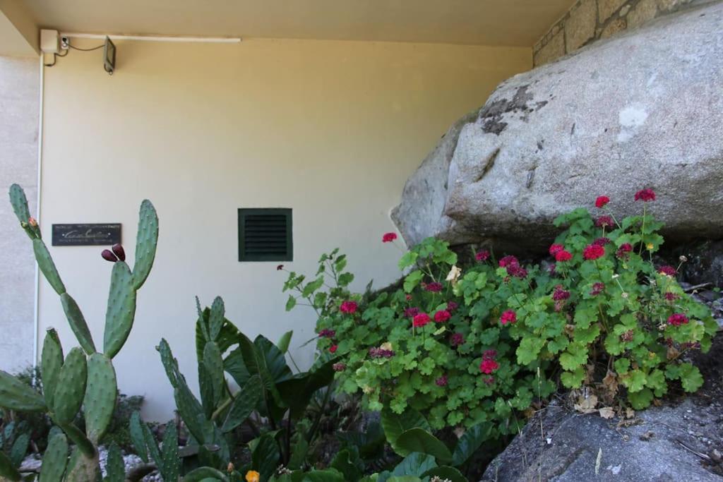 Casa Quelha Da Presa Villa Espinho  Exterior foto